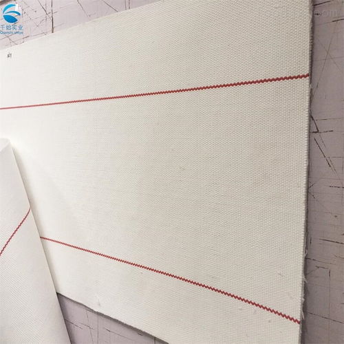 廣東無縫環(huán)形帆布輸送帶 食品級(jí)帆布帶